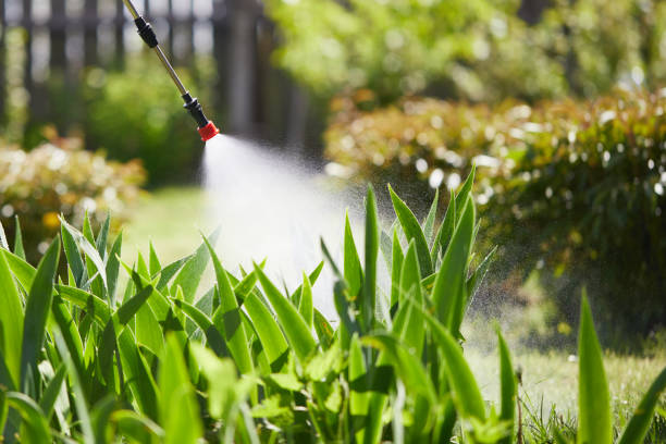 Tamper-Resistant Bait Stations for Rodents in Browntown