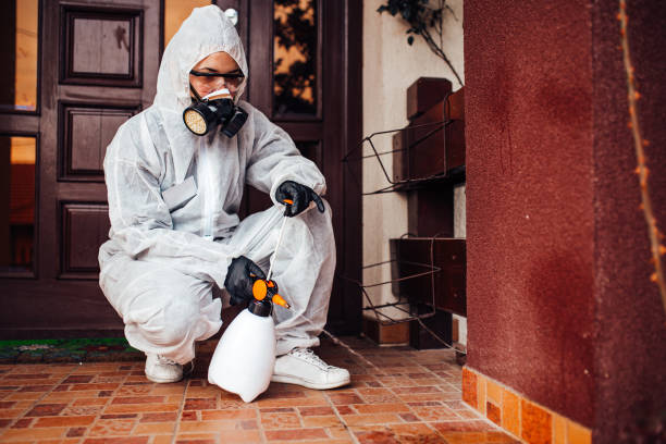 Attic and Crawl Space Rodent Treatment in Browntown