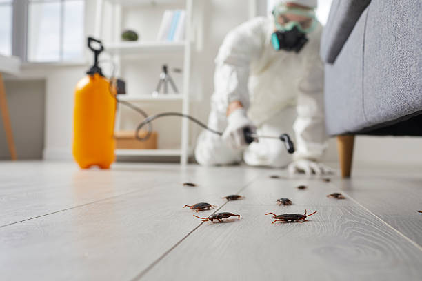 Commercial Rodent Management in Browntown